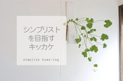 シプリストを目指すキッカケ
